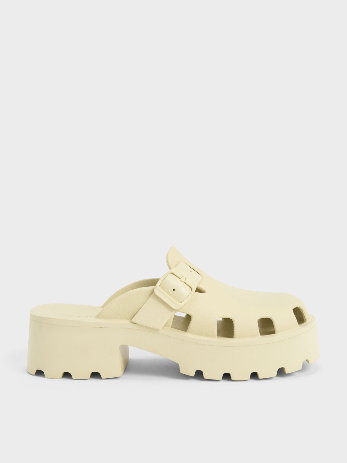 Charles and keith shoes online shopping on sale