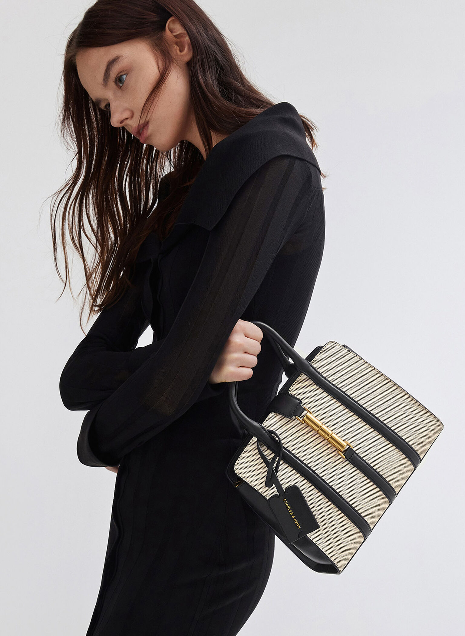 Cesia Canvas Metallic Accent Tote Bag, Black, hi-res