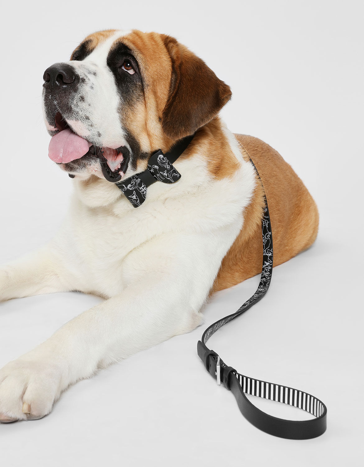 Printed Pet Leash Black