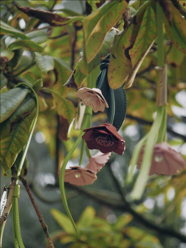 Rose Charm, Multi Red, hi-res