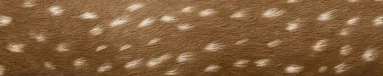 banner tile