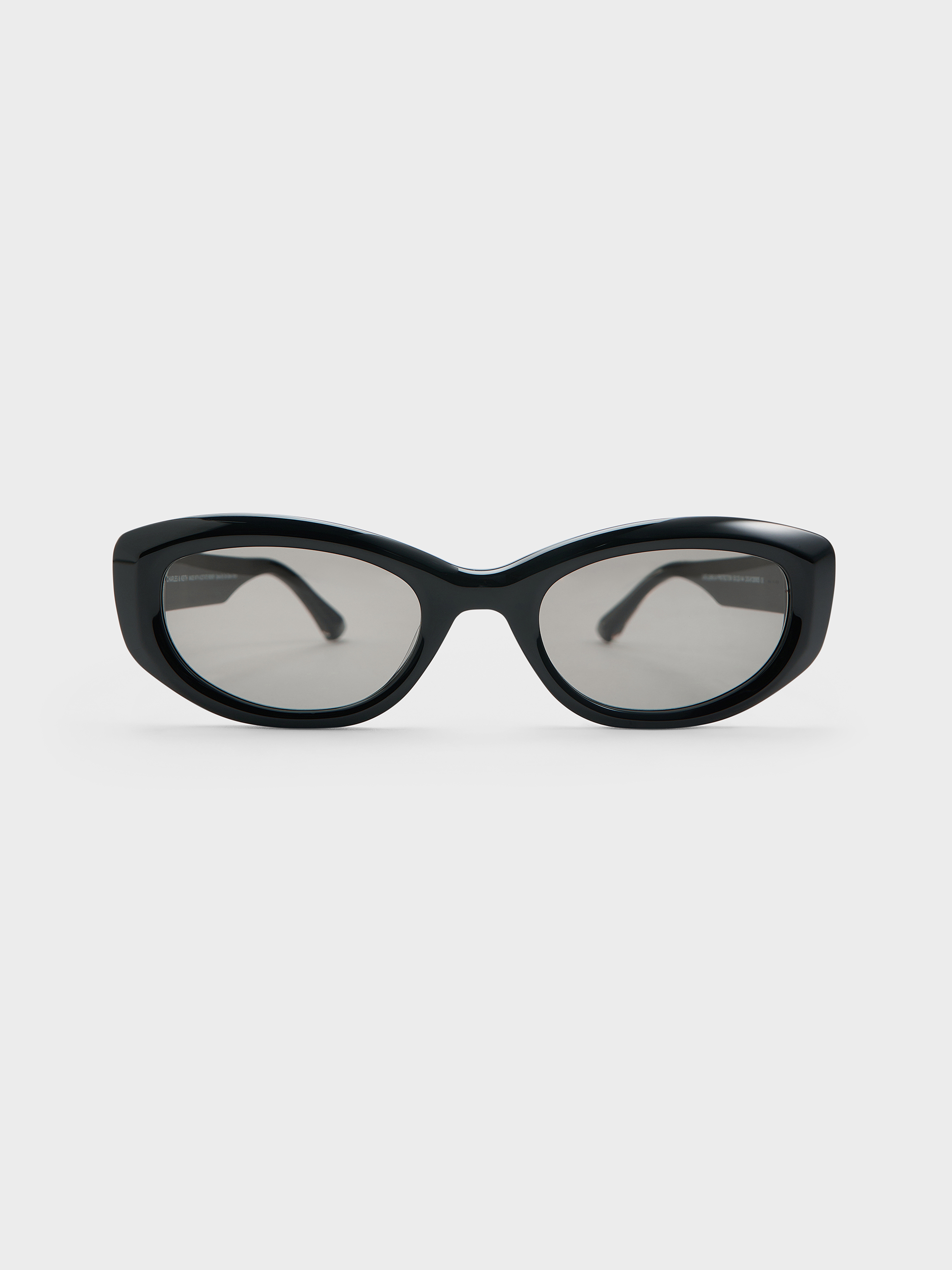 Charles & Keith - Birdie Recycled Acetate Sunglasses In Black