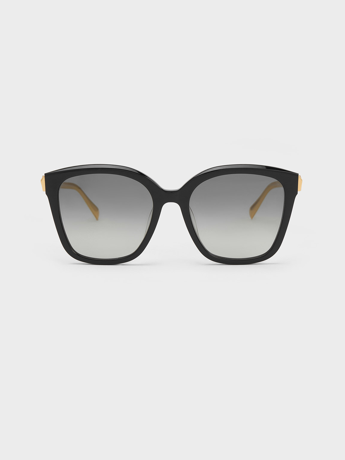 Charles & Keith Oversized Square Acetate Sunglasses In Black