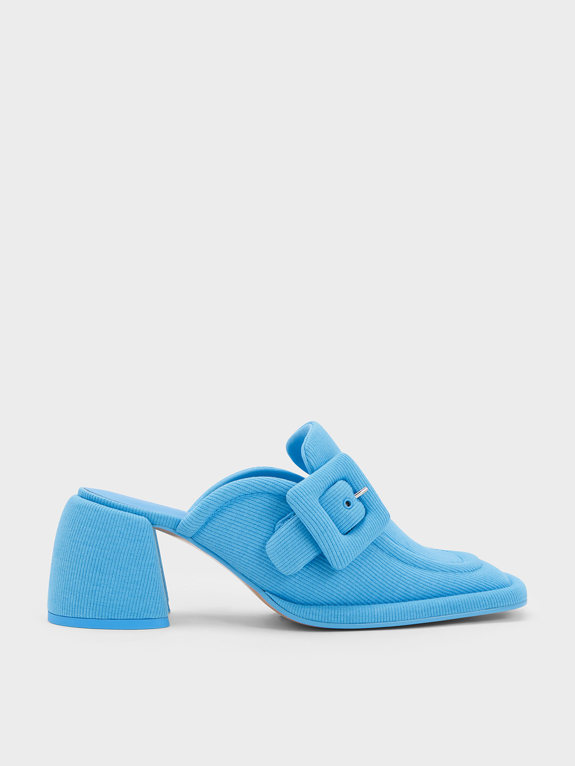 Charles & Keith Woven Buckled Loafer Mules In Blue