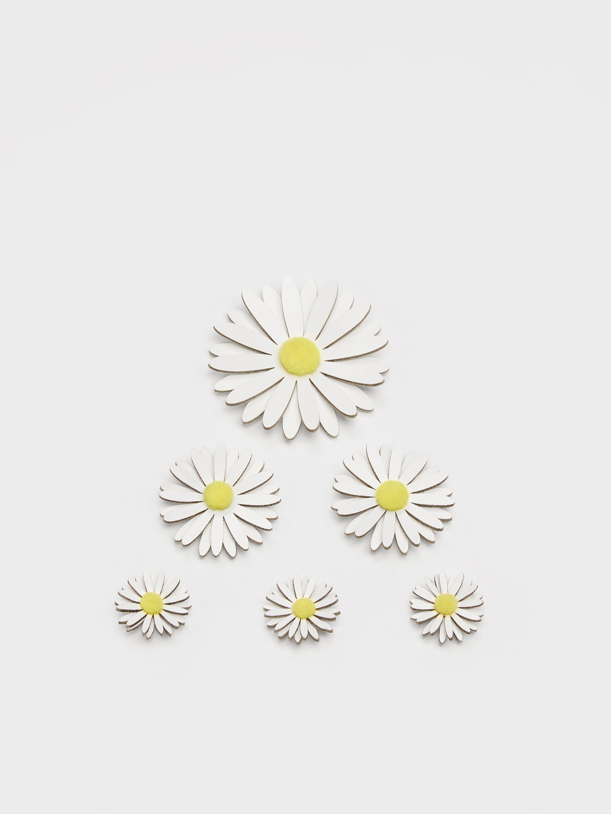 Charles & Keith - Polly Floral Appliques Set